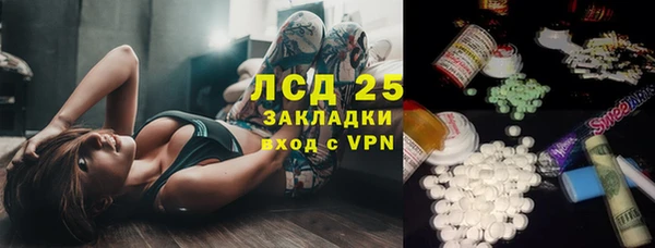 шишки Переславль-Залесский