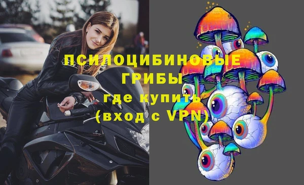 шишки Переславль-Залесский