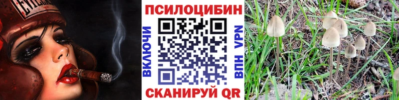 маркетплейс наркотические препараты  гидра онион  Нахабино  Галлюциногенные грибы мицелий 